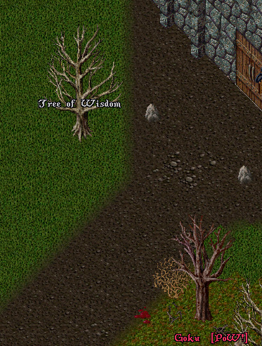 treeofwis.jpg